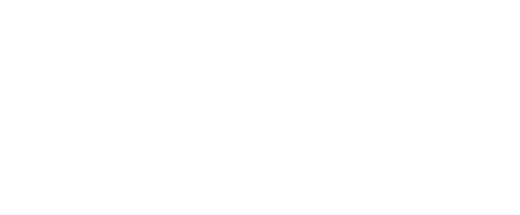 Digital Thinker logo in white